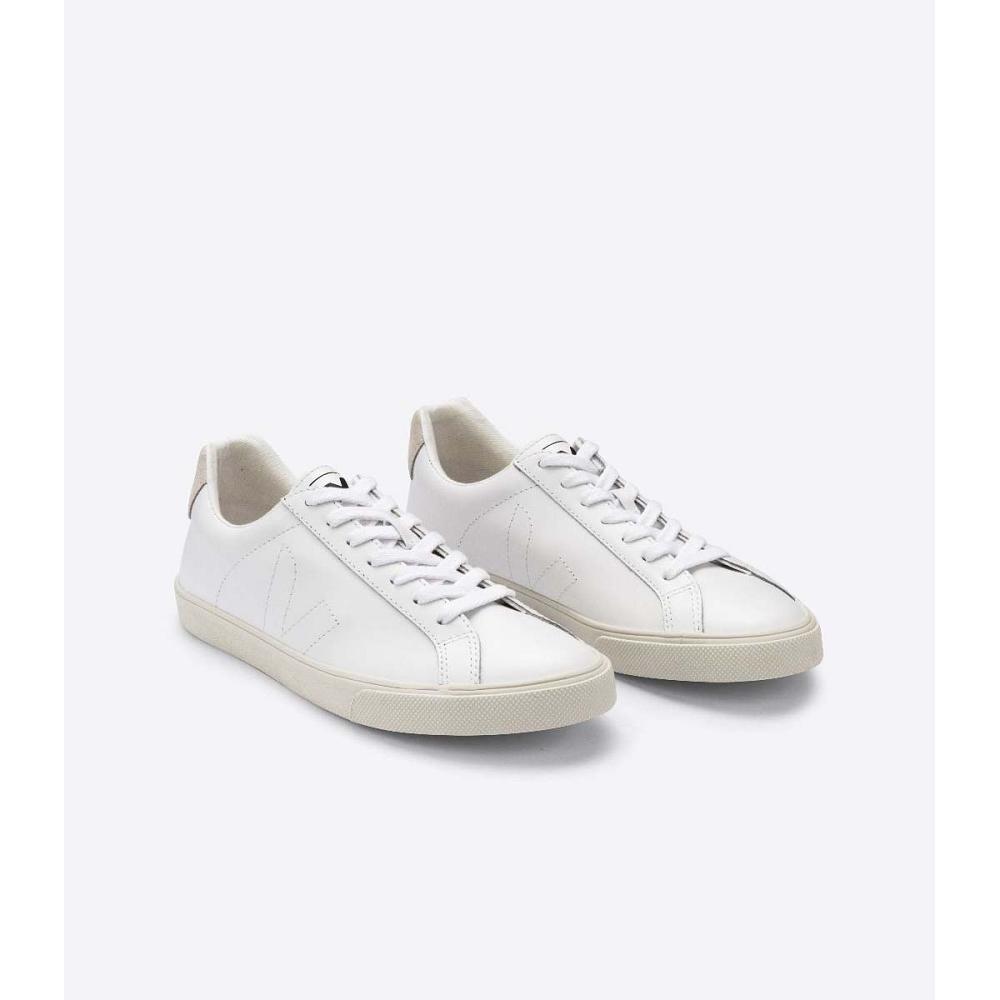 Veja ESPLAR LEATHER Men's Sneakers White | CA 308JPQ